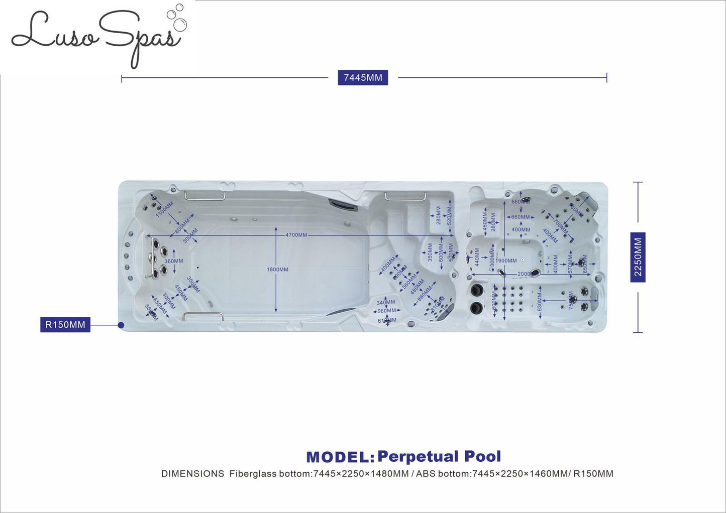 THE PERPETUAL POOL (8-12 WEEKS)