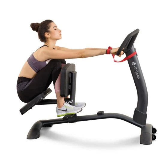 LifeSpan Fitness Pro Stretchmaster Exercise Bench SP1000