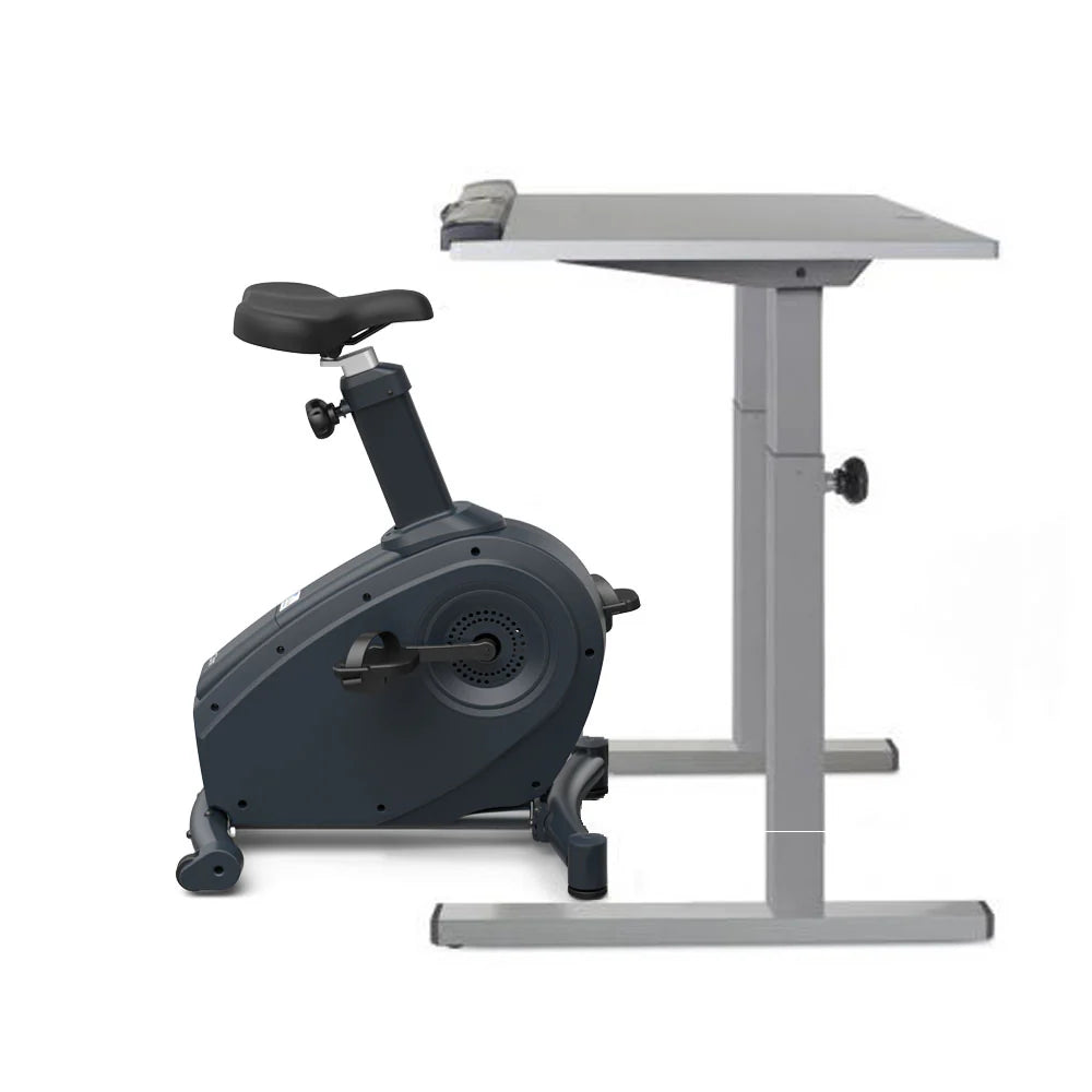 LifeSpan Desk Bike C3-DT5 Classic