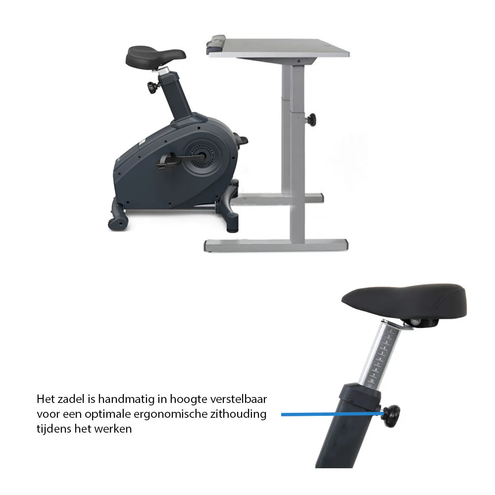 LifeSpan Desk Bike C3-DT5 Classic